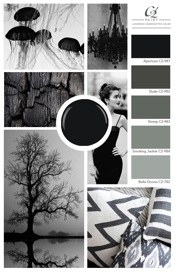 Black and white mood board